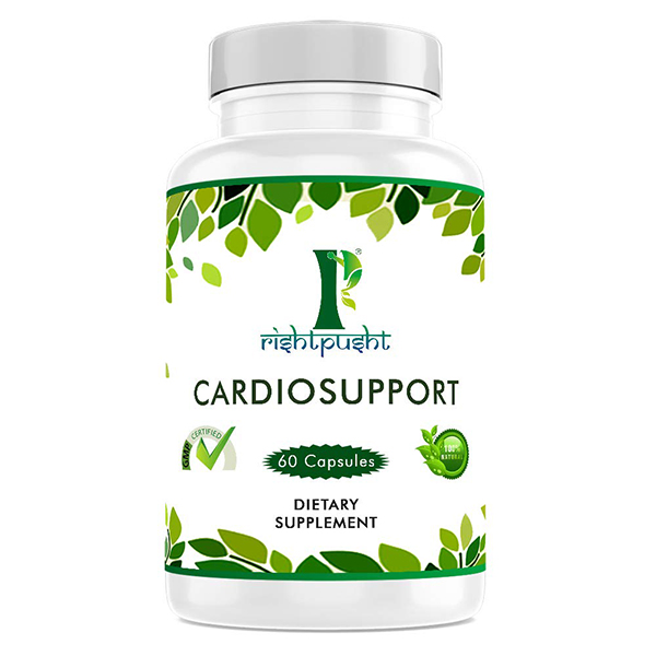 CARDIOSUPPORT            