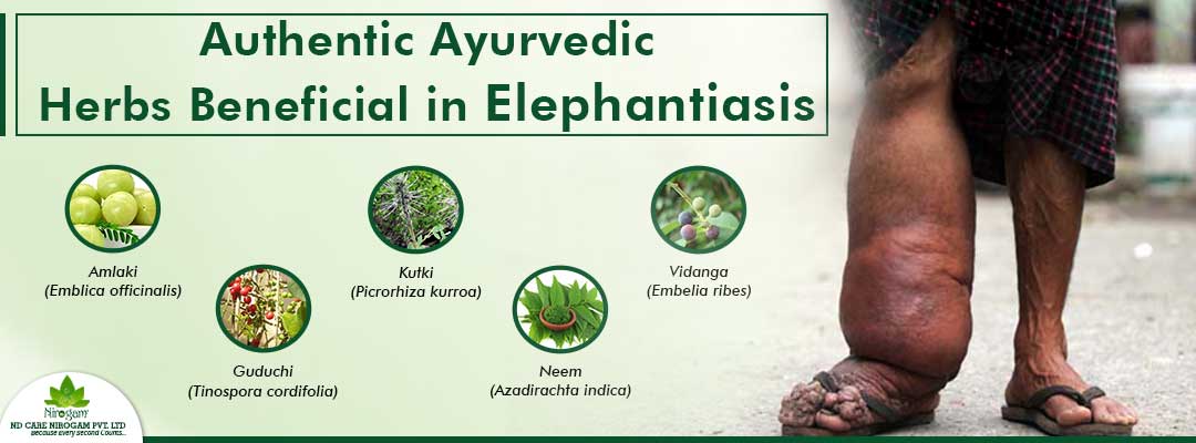 Ayurvedic lymphatic Treatment